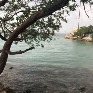 Meet your Posher, Tonya